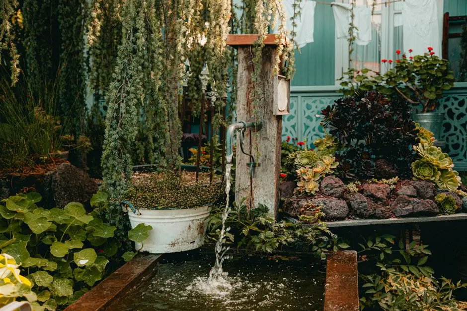 Garden at AMBUJA VANYA AWAS, Lataguri (Dooars), Jalpaiguri