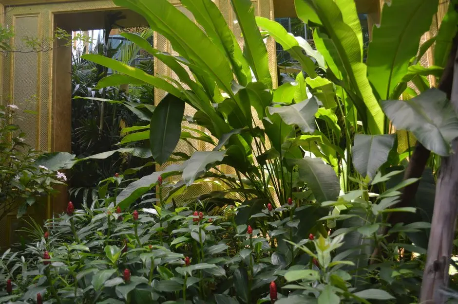 Garden at AMBUJA UTALIKA LUXURY PANCHAMI, Mukundapur, Kolkata
