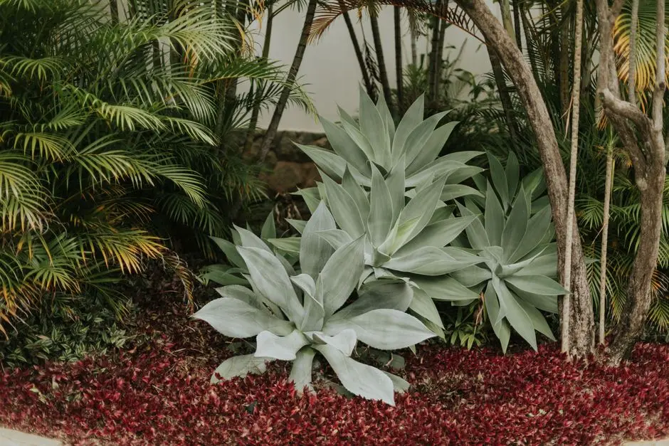 Garden at AMBUJA GETWEL MULTISPECIALTY HOSPITAL TARATALA, Taratala, Kolkata