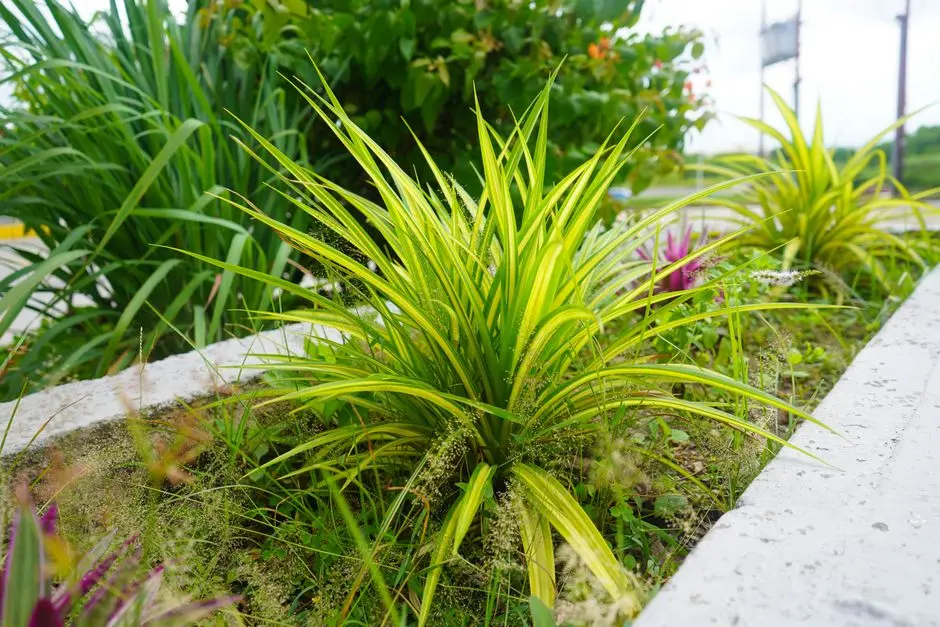 Greens & Outdoors at AMBUJA NONADANGA, Kolkata