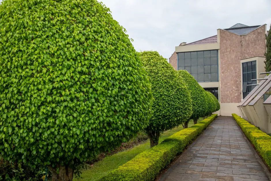 Greens & Outdoors at AMBUJA ECOSPACE BUSINESS TOWERS, Action Area II, Kolkata