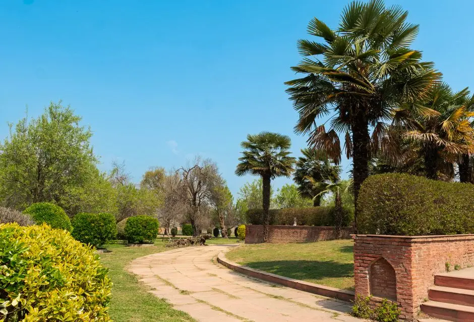 Greens & Outdoors at AMBUJA TAJ BRANDED VILLAS LATAGURI, Lataguri, Dooars, Jalpaiguri